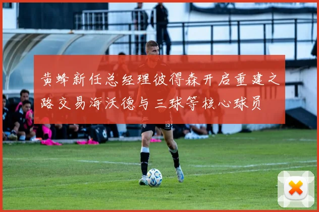 黄蜂新任总经理彼得森开启重建之路交易海沃德与三球等核心球员