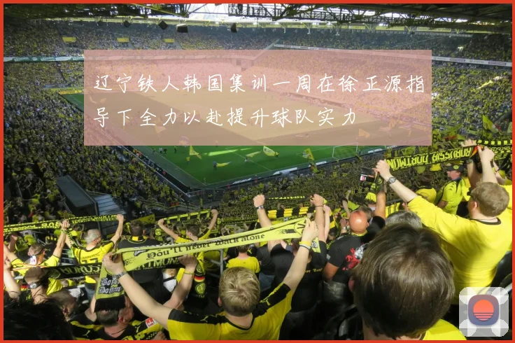 辽宁铁人韩国集训一周在徐正源指导下全力以赴提升球队实力
