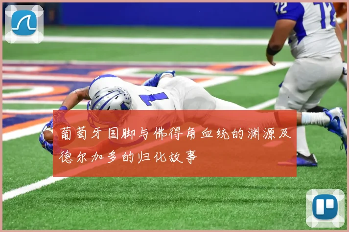 葡萄牙国脚与佛得角血统的渊源及德尔加多的归化故事